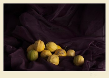 Bodegón con limones. Paco Rocha